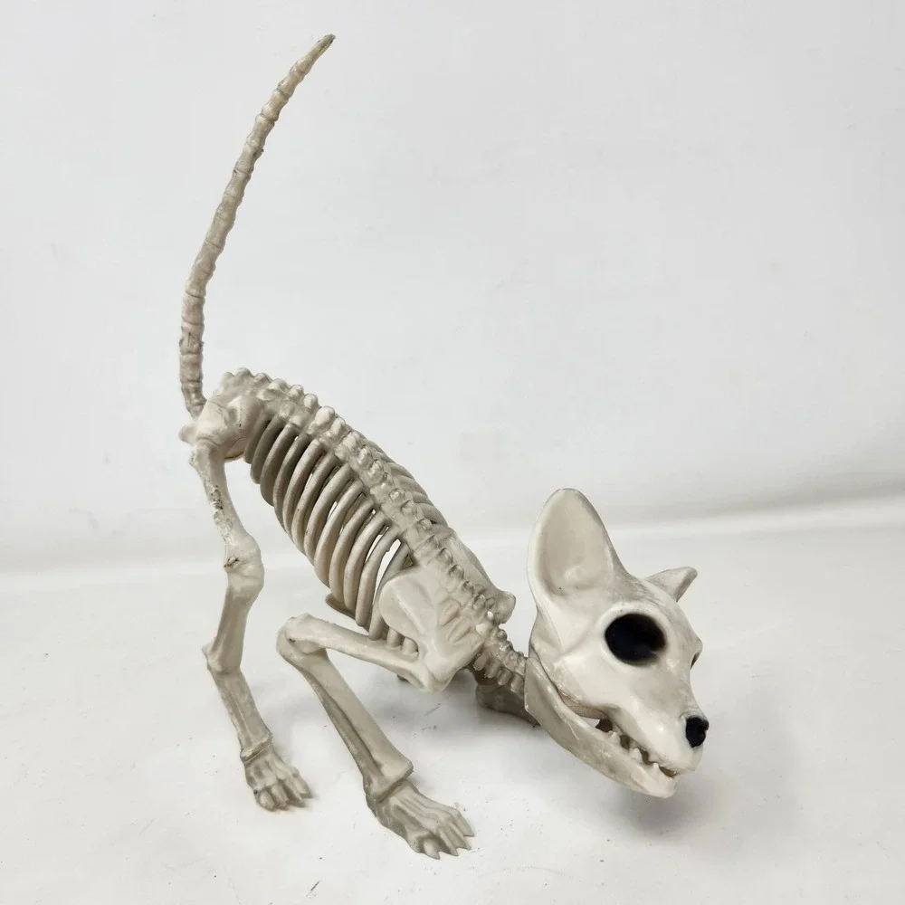 Seasons Halloween Cat Skeleton Prop Posable Tail Movable Jaw Spooky Decor